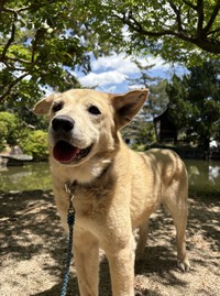 自然を満喫するヴァンくん（写真提供＝ご家族）