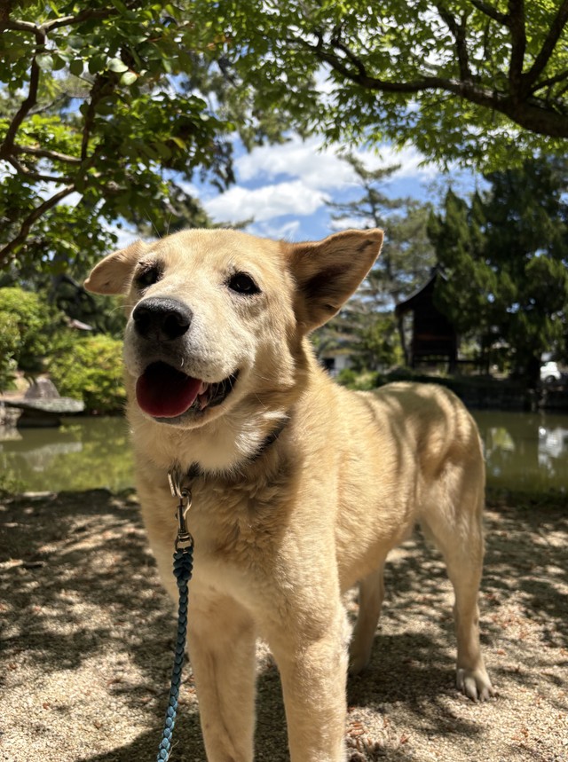 自然を満喫するヴァンくん（写真提供＝ご家族）