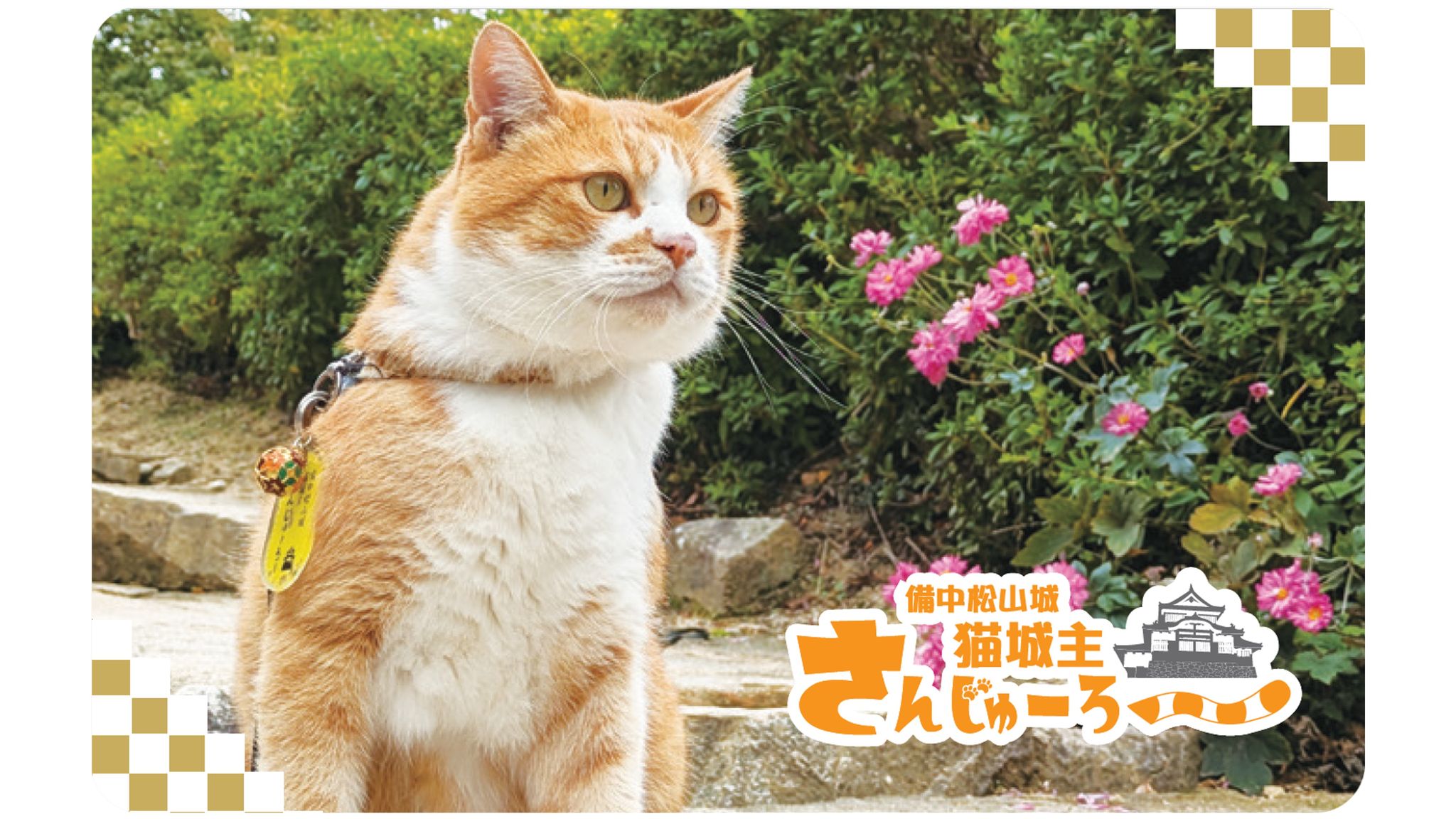 備中松山城 猫城主さんじゅーろーの新グッズを発売するニャー 岡山