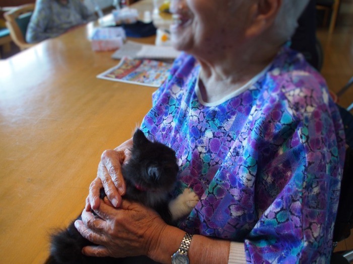 「可愛いねえ」と、思わず笑みがこぼれる。