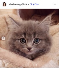 大地真央のインスタグラム@daichimao_officialより