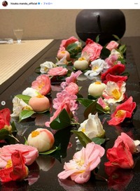 萬田久子さん「佐保姫　春爛漫」（本人のインスタグラム、2026年3月25日の投稿から）