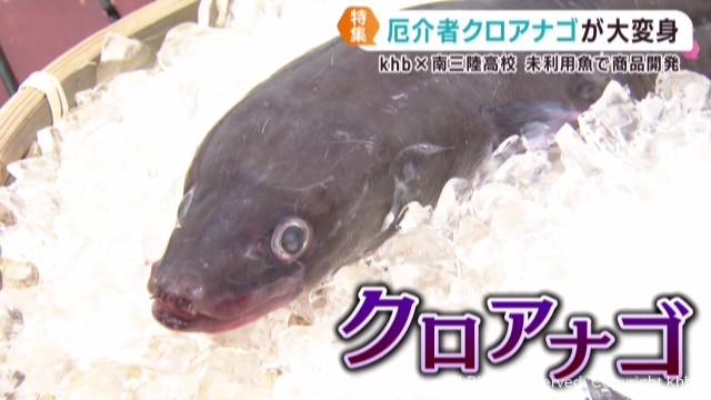 未利用魚で商品開発