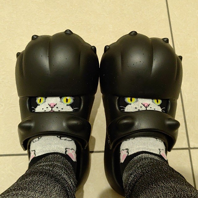 まさかのジャストフィット！「専用に作られたと言われても信じるレベル」と話題／猫魈 時雨さん（@shigure_nyao）提供

