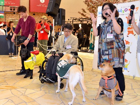「補助犬」知っていますか？　同伴拒否続き、国や自治体がＰＲ