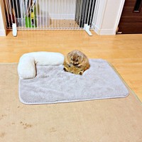 まさに焼きおにぎり！ ？ かまってもらえず、いじけてしまったこゆきちゃん（画像提供：こゆきさん）