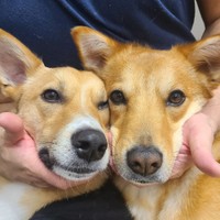 最近、とても仲が良い=suzuandsakuさん提供