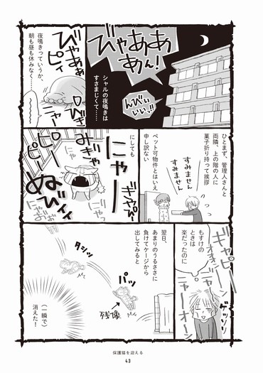 「まんがで読む はじめての保護猫」から
