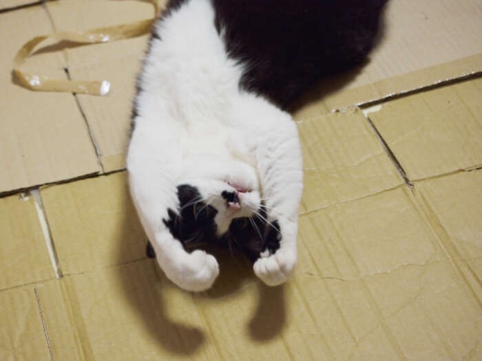 「わー、なんかオシッコしたくなってきた」（小林写函撮影）