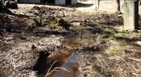 何故か水が溜まってくる敷地（YouTubeチャンネル「よつめもん。50万円の別荘買った」より）