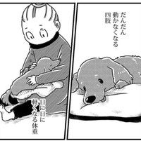 徐々に最期に近づいていくグミ（真希ナルセさん提供）