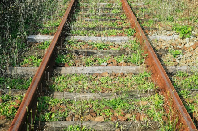 廃線になって雑草の生い茂る鉄路（hoshi/stock.adobe.com)
