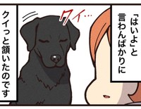 シロの生まれ変わりを確信（大友しゅうまさん提供）