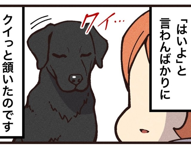 シロの生まれ変わりを確信（大友しゅうまさん提供）