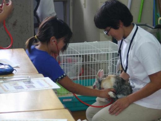 命の教育、新たな試み　出前授業、動物教室　佐世保市