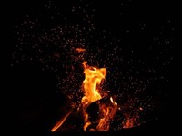 デジタルに支えられた日常から離れて。心を整える秘境のキャンプ場