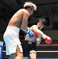 赤井英五郎に攻められる伊吹吾郎（左）＝2023年9月撮影