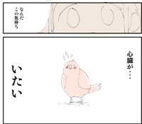 いなくなってしまったきゅーちゃん（ぬこー様ちゃんさん提供）