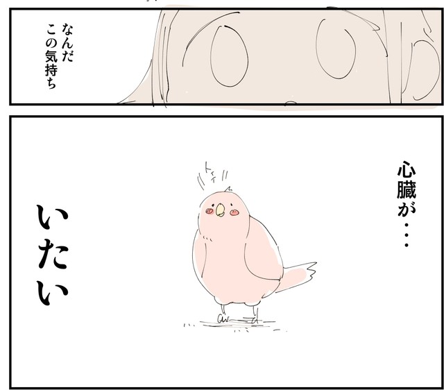 いなくなってしまったきゅーちゃん（ぬこー様ちゃんさん提供）