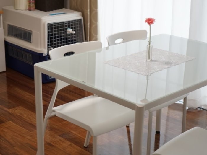 リビングには（入居者がお世話をする）保護犬用のクレートが設置してある