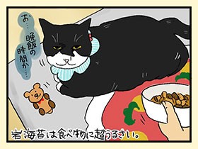 こんな旦那はイヤ　食にうるさい猫　やっぱ、猫じゃけぇ(42)