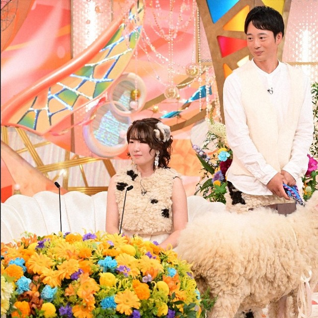 本物の羊が登場するサプライズ＝「新婚さんいらっしゃい！」ⓒABCテレビ