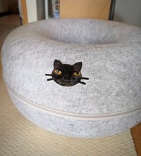 刺繍かと思いきや、ホンモノの猫さんです（提供：さびニャンズさん）