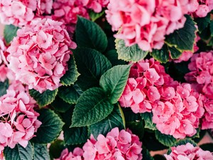 昨日はごめん。同棲中の彼氏との仲直りはゼリーと共に