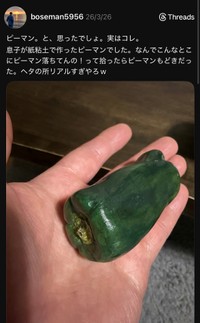 手に取ってもリアル！鮮度抜群に見える紙粘土製のピーマン