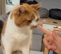 バーン！！とされると…（「W＊S」さん提供、Instagramよりキャプチャ撮影）※画像はトリミングしています