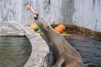 牛骨＝2025年12月撮影