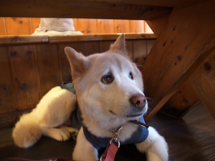 ちょっと心細げ