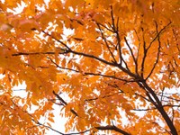 インドアぎみで、ネガティブ思考だった。振り返って来年に活かす秋