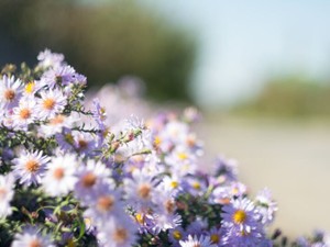 「男性からの評価」を気にしていた私　解放されても…