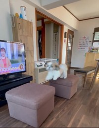 （栄作さん提供）