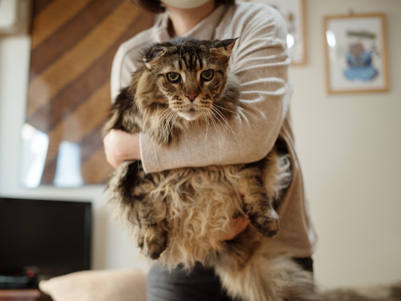 「あれ？お母さんと同じくらい大きくなっちゃった」（小林写函撮影）