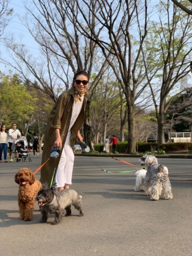 外が大好きなJIRO（右）とその奥がムーちゃん、左からヴィヴィアン、キャンディ