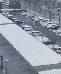雪が降る中、真っ白な雪のキャンバスからスタート。