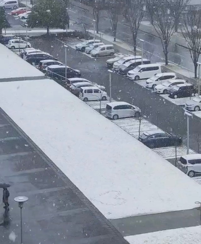 雪が降る中、真っ白な雪のキャンバスからスタート。