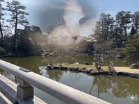 京都で撮った旅先の一枚に、愛猫キムチの姿が浮かぶ投稿が共感を呼んだ／キムチ母さん（@fukuroupiyopiyo）提供