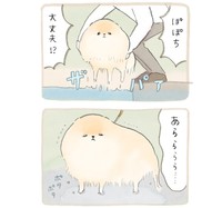 ルンルンだったのに…（提供：ぽこ🐾ぽぽちの飼い主さん）