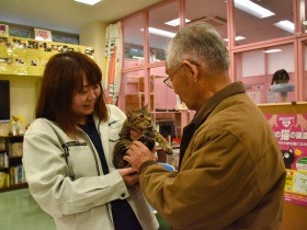 猫の殺処分、名古屋で倍増　40匹多頭飼育の事件が影響か