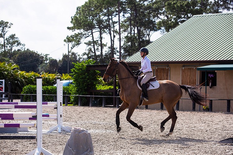 FILE -- Dianna Babington at the family home in Loxahatchee, Fla., last year on Jan. 30, 2020. Her husband, Kevin Babington an Irish Olympian show jumper, was paralyzed from the chest down after being flung from his horse at the Hampton Classic in Bridgehampton, N.Y. in the summer of 2019. (Saul Martinez/The New York Times)