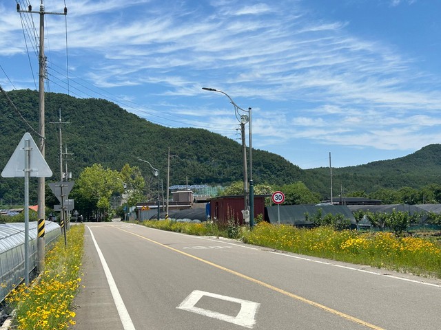 道路の具合も日本そっくり…（ニシダさん提供）