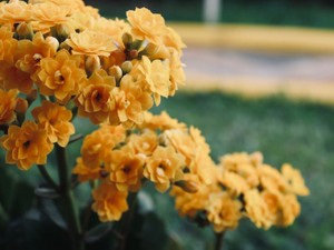 住む場所や子どもは「私たちの」未来。家族にも友人にも必要な境界線