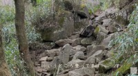 筑波山で出合った岩石が「石に対する考え方」を変えてくれたそう／投稿主さん提供