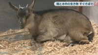 いきものワールド in コンベックス岡山
