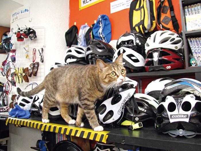 サングラスやヘルメットに囲まれて。「遊ぶの大好き！」