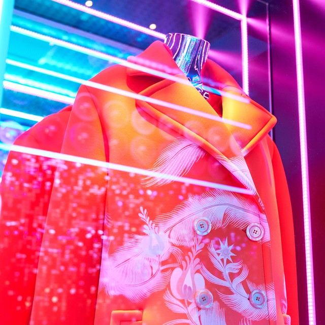 写真・図版