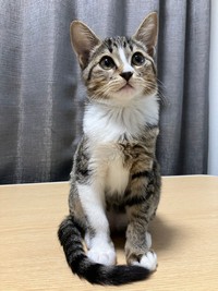 起きている時は「美少女」ですが（画像提供：むぎときびさん）